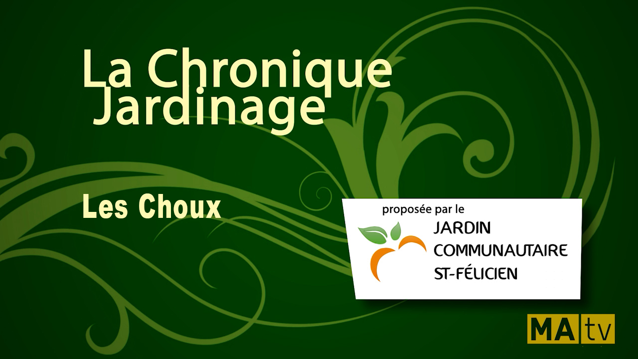 Les choux